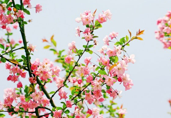 星座男|7月下旬运势爆棚，财运亨通，4属相意气风发，好运连连