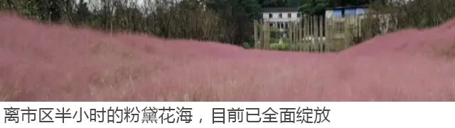 旅行|国庆自驾游 | 6-8日长途游，这几条路线值得拥有！