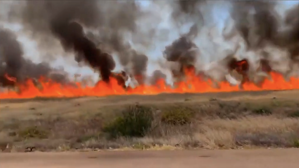 「乌贼」五个未解的神秘事物，你知道他们的由来吗？