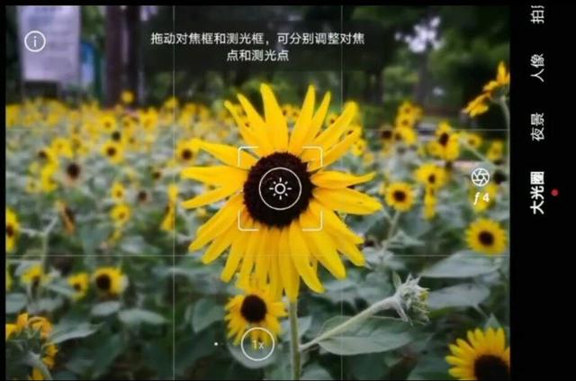 浦东新区|手机摄影「9期」：速学手机如何对焦？删掉模糊感让照片品味提升