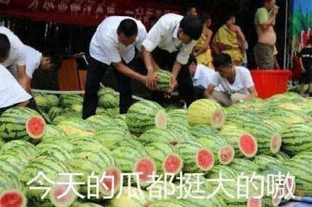 『黎梵』走了一个罗志祥,又来了个屈楚萧,料一个比一个“猛”。