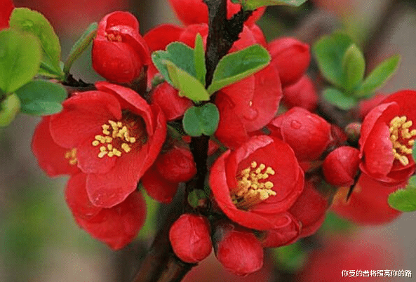 运势|8月1日开始，4属相有意外惊喜，贵人相助，机会多多，生活美满