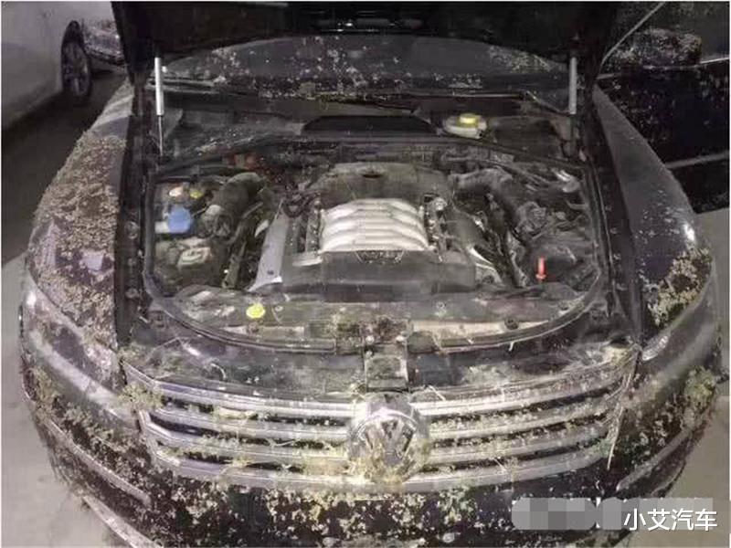 『豪车』小伙花15万买泡水辉腾,维修工检查后:比中彩票还幸运!