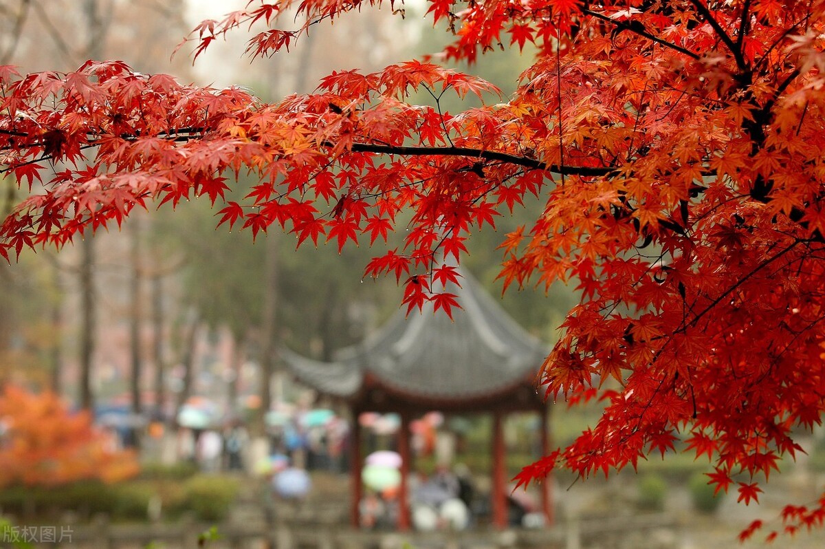 旅行|一个人的旅行——推荐十个适合一个人旅行的目的地