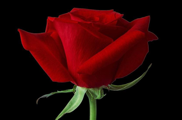 吉星|在下周这三生肖财运亨通，吉星高照，财神缠身，大富大贵