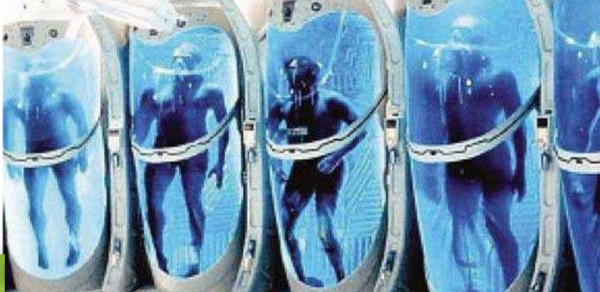 |中国第一位冰冻人杜虹，头部保存完好，预计50年后复活结果如何？