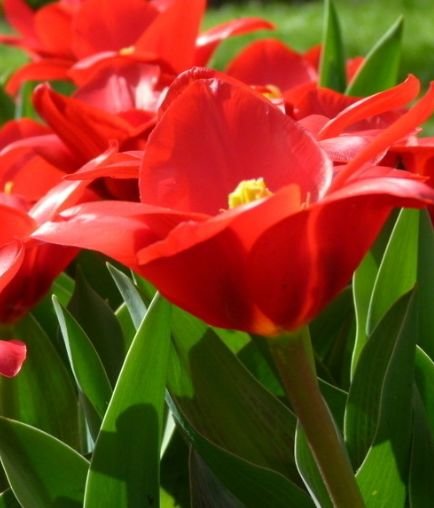 运势|10月1号开始，4属相万事顺意，运势上涨，幸福进门，大吉大利