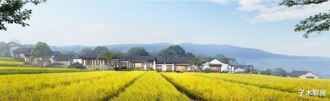 宋卫平的蓝是什么蓝？