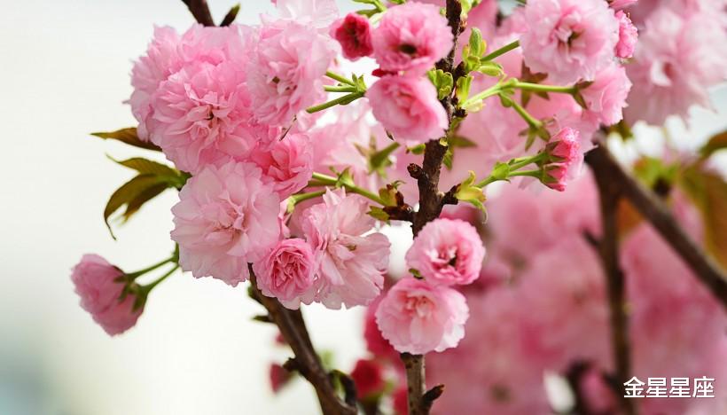 #运势#6月22号，运势大吉，3生肖福到运来，喜事临门，皆大欢喜