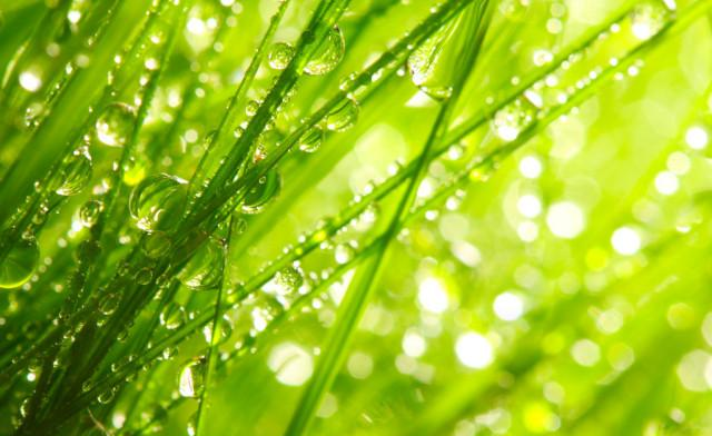 生肖|10月，福星临门，4属相吉星傍身，平平安安，红红火火