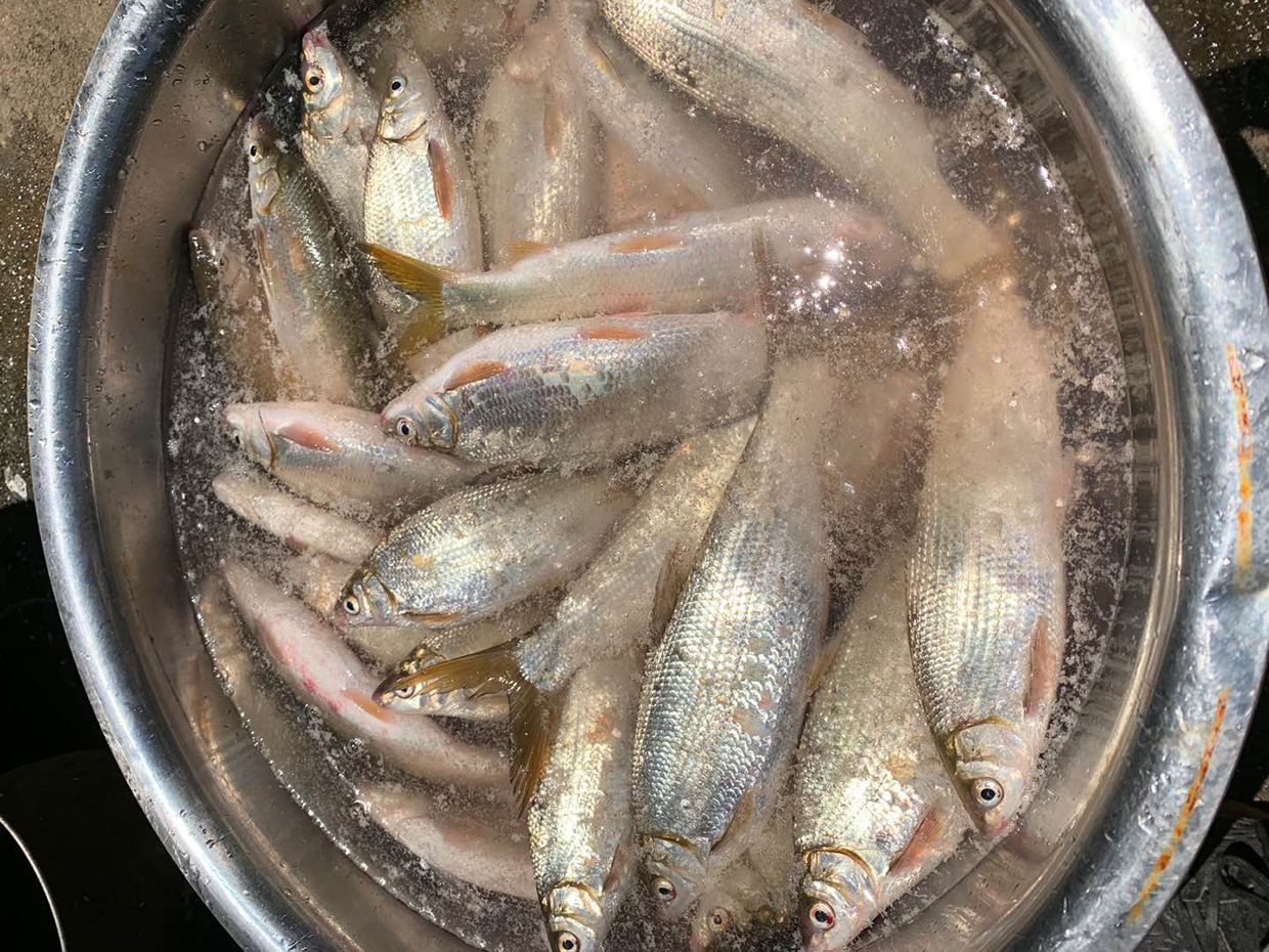 『』钓鱼时有口老打不到，会有哪些原因？了解后可以帮你避免空竿