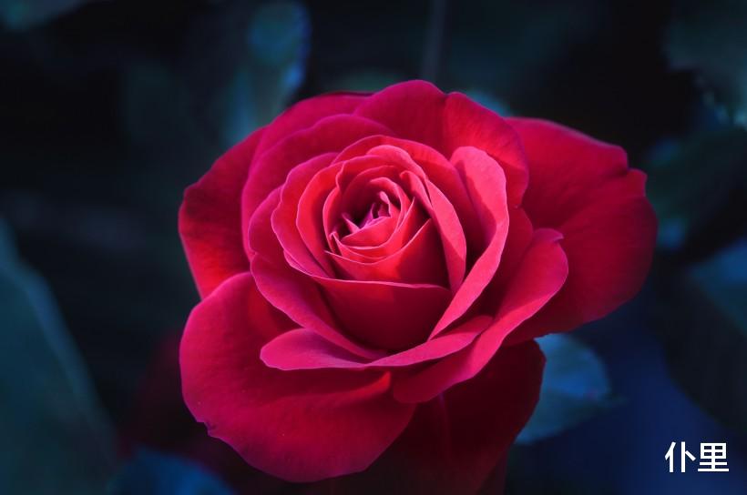 「生肖」6月下旬抬头见喜，诸事顺遂的3生肖，财路青云直上，生活出现逆转改变