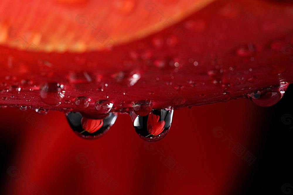 「生肖」6月下旬,抽中好运上上签,3生肖喜事连连,财运迎来一波高峰期