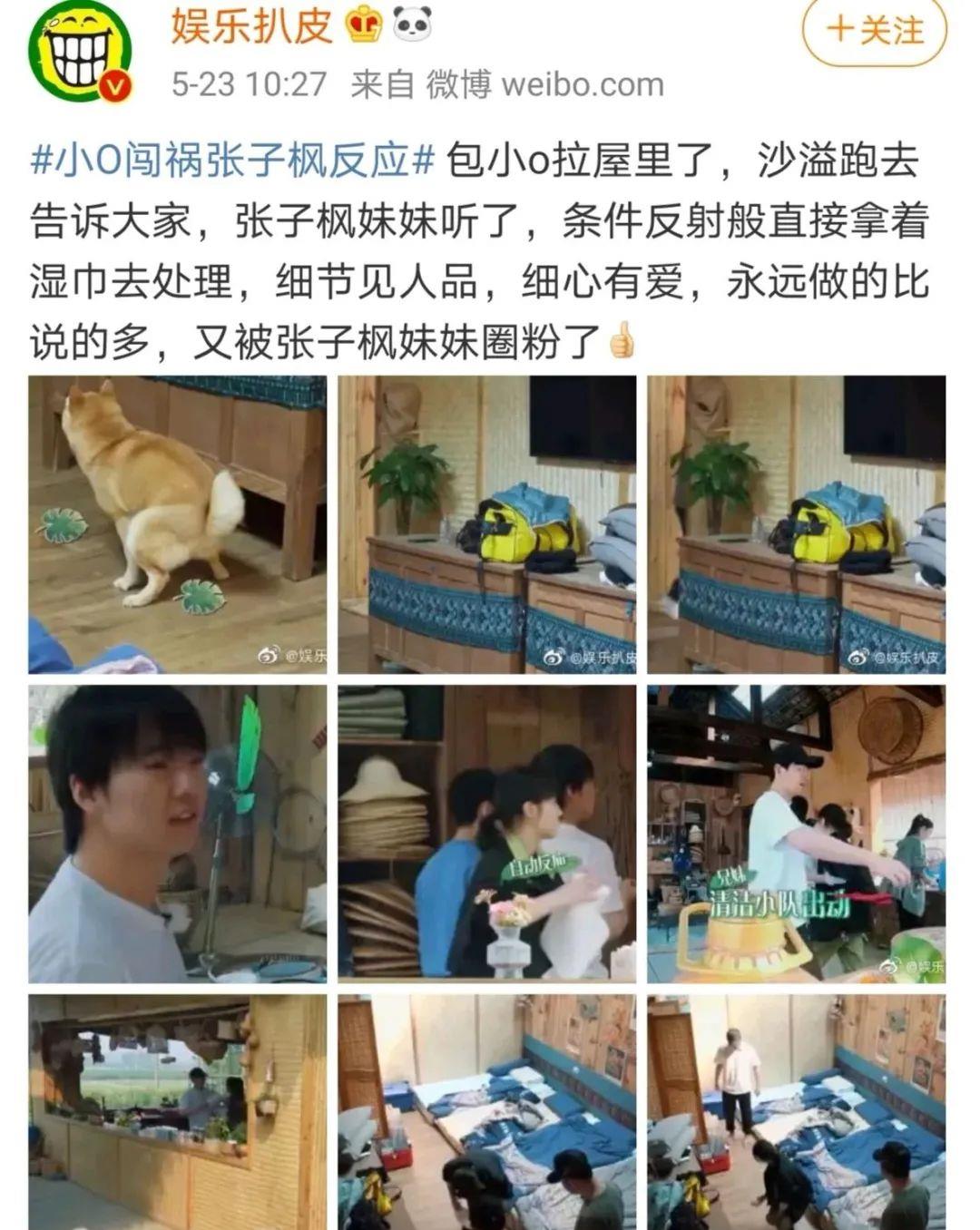 『张子枫』何炅为她伴奏,黄磊把她当闺女:张子枫,你太狠了!