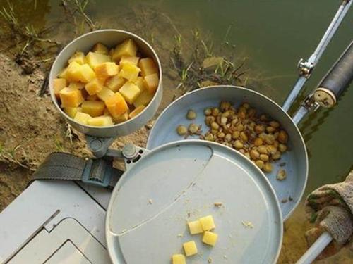 鲤鱼|秋季野钓鲤鱼4件套及选择