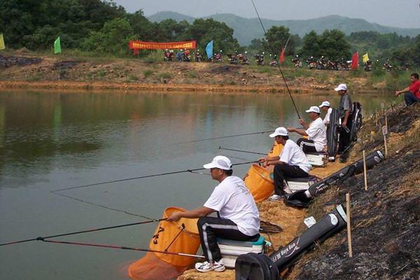 池塘|为何有些人不上班,天天去钓鱼,背后有何玄机?