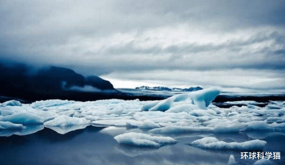 南极洲|至少有30米高，南极神秘物种ningen真的存在吗？