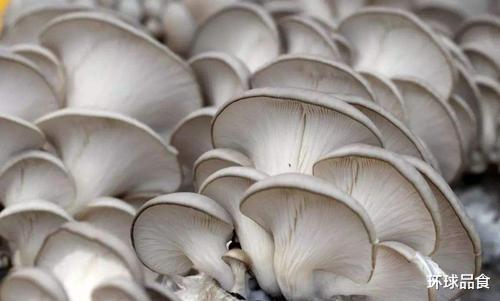 酸菜鱼|秋天,豆腐和它是绝配,比鸡汤还鲜美,补脑益智,孩子长个头