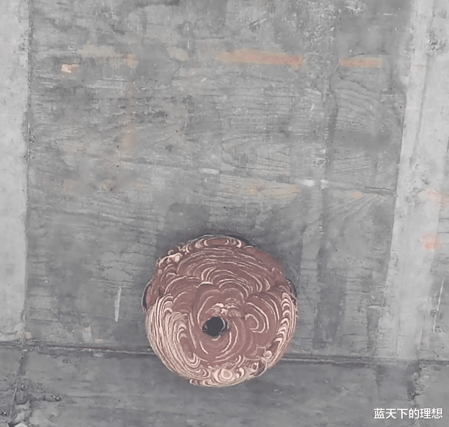 |“快捷酒店地板装修成这样子，哈哈...刚出电梯两腿就发软了！”