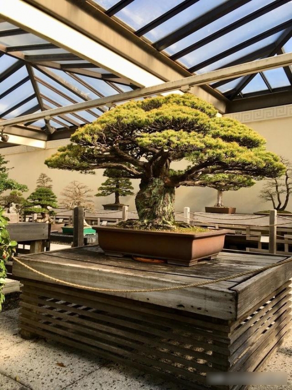 :盘点15张涨知识的照片,Wi-Fi有辐射吗?看了照片你就知道了