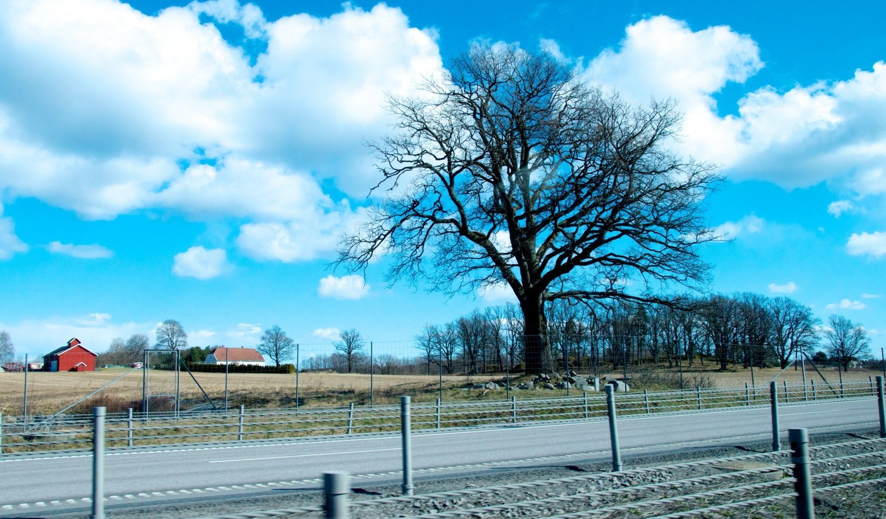 生肖|骨子里最冷漠的三大星座，难以靠近，穷极一生，无法真正爱上一人