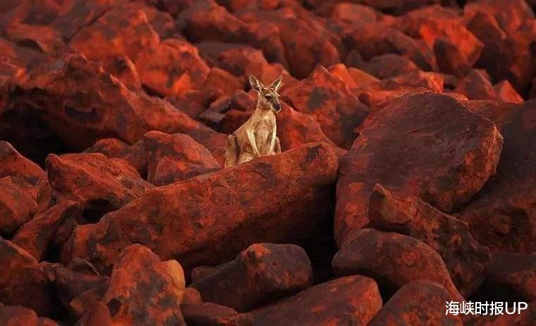 五角大楼：澳外长发出威胁，将断供中国铁矿石，没想中国早有后手