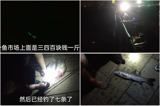 鲫鱼|一天钓鱼千斤？这位专家被喷惨，但事实是10%的人钓走了90%的鱼