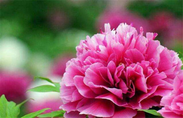 生肖|十二生肖中，10月好运悄悄降临，财运节节攀升，有钱有底气的生肖