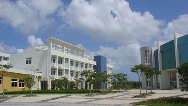 大学|最受“国家电网”重视的三所本科大学，分数线不高，考上就是赚到