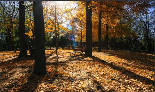 「教育部」中国3大理工大学，拥有王牌专业，高考高分也难进