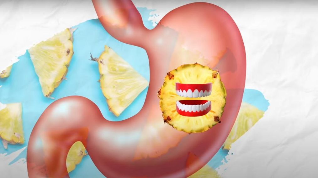 『世界真奇妙』科学冷知识 看过才知道世界真奇妙 那些神奇的秘密（第十七期）