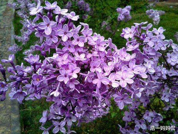 「生肖」6月23号,一顺百顺,3生肖大难已过,财运进门,挡也挡不住