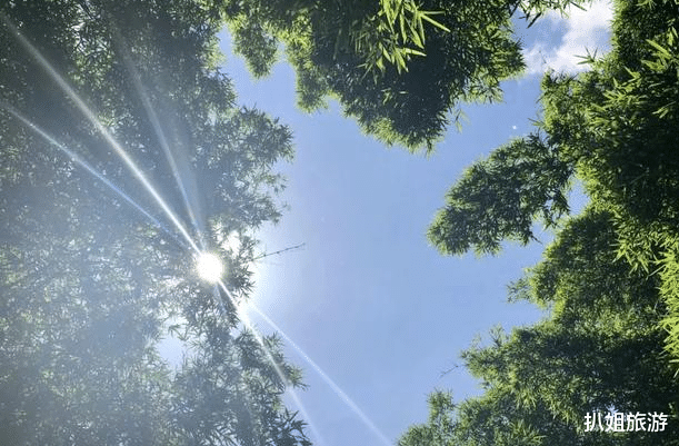 #昆明#我国最凉快的三座城市：被誉为“避暑圣地”，夏天温度20度左右