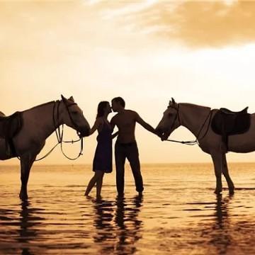 合格境外机构投资者|扇骨线技术——让你分分钟赚大发