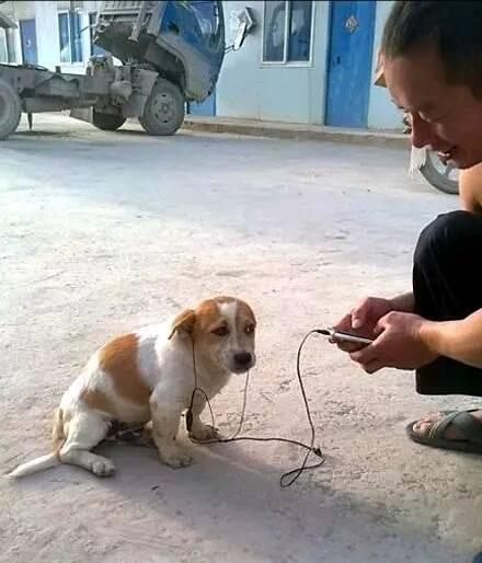 |下班后，同事们都走了，就剩我一个人还留在办公室加班，太苦啦，哈哈哈~