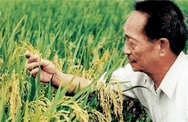 臆说古史|温铁军：忘记农民就是忘本，别说当教授，当中国人都不够格