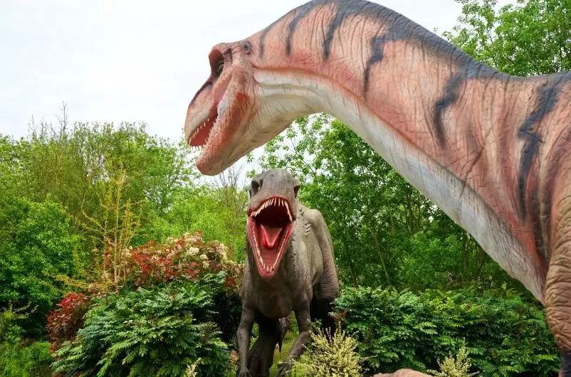 #属龙#“恭喜”龙朋友，你的两大贵人来了，助你招财旺运，好好珍惜他！