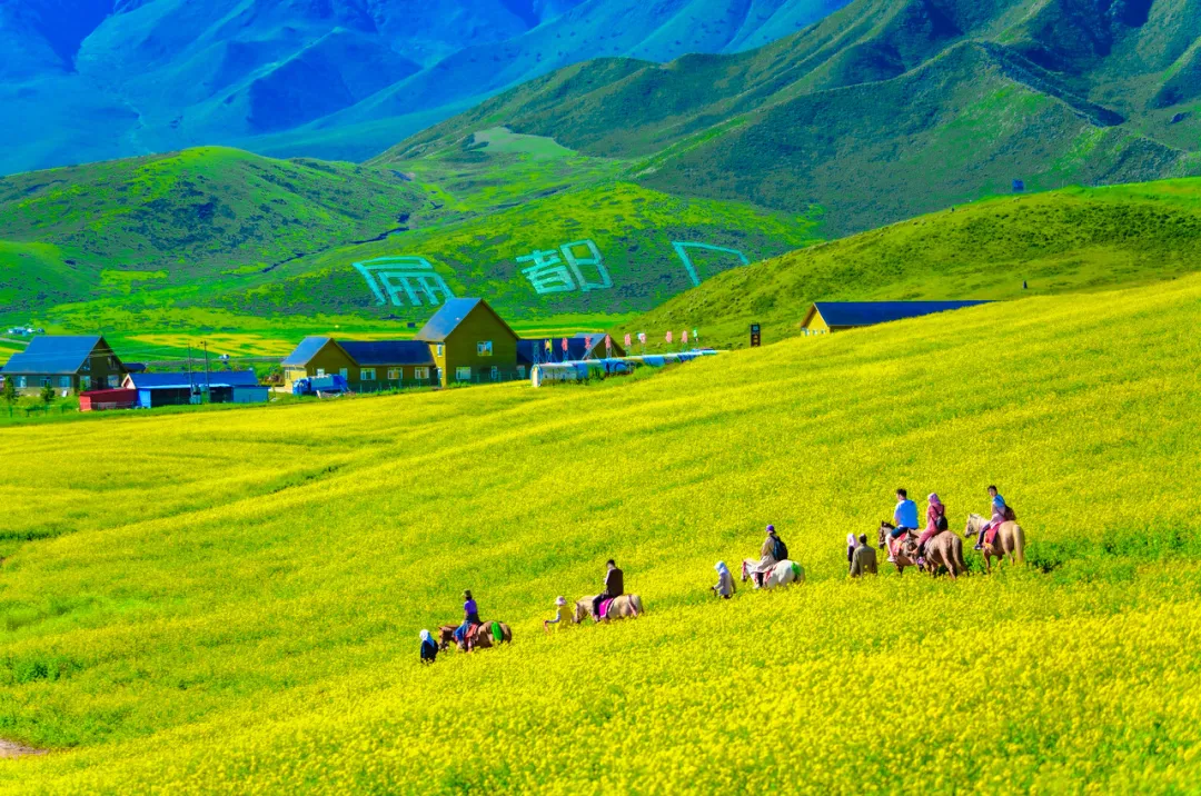 『离岛』又一条中国最美国道爆火！霸占大西北50%的精华美景，7、8月沿途美爆朋友圈！