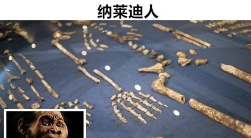 化石|未解之谜：存在于世界上的，9个让科学家也难以解释的神秘化石