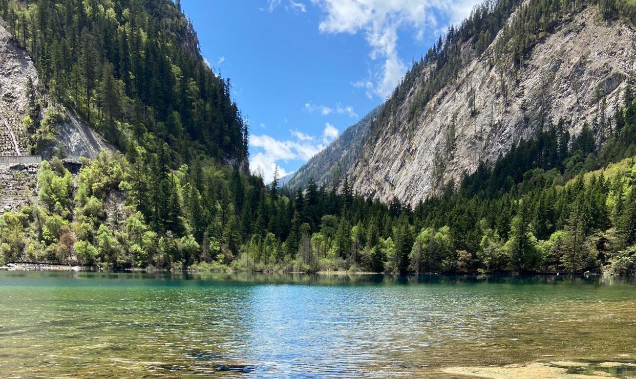 ##在河边钓鱼，偶遇一只小动物，还以为是小鸭子，原来竟是一种鸟