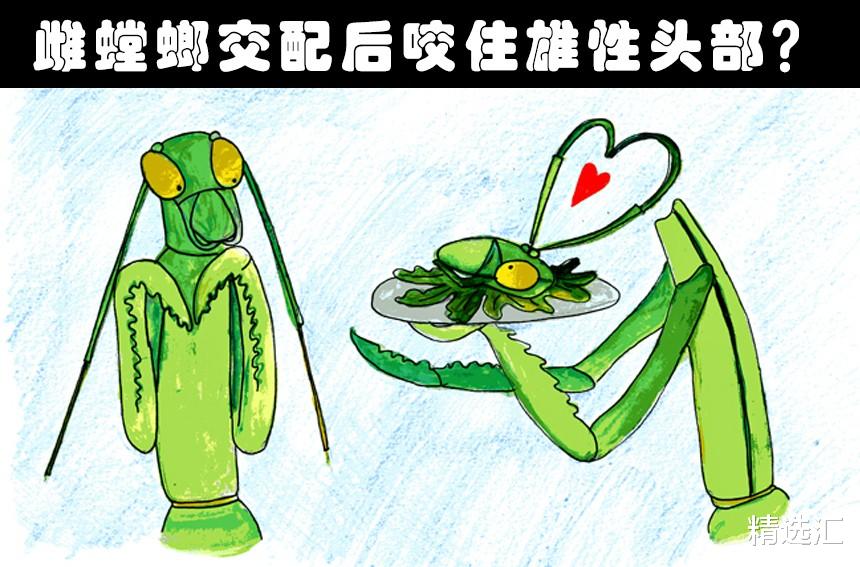 大象|被骗多年？很多人几乎从小就盲目相信着的8种错误常识