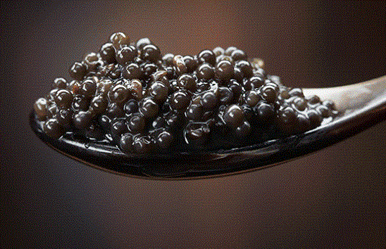 食材|全世界zui顶级的食材合集，你吃过几种，我竟然就吃过一种？