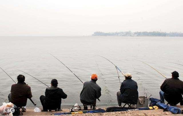 「麝香」钓鱼：水库钓大鱼，需要注意哪些要点