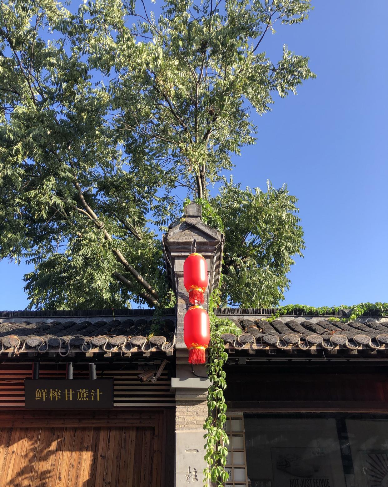 早茶|期盼好久的扬州早茶，最后四个人分成了三拨分头吃，真的无力吐槽