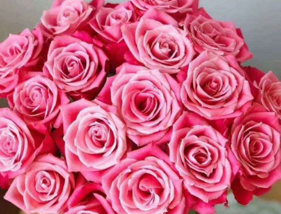 运势@“老得最慢”的3种生肖女，心态乐观不易变老，让人很羡慕