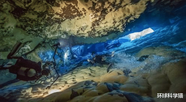 科学家|人类技术这么发达，为何征服不了38条沙漠鱼？可能只能任其灭绝