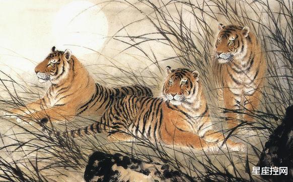 生肖|2020年成就榜上有名的4生肖,有钱有名,有头有脸,春风得意