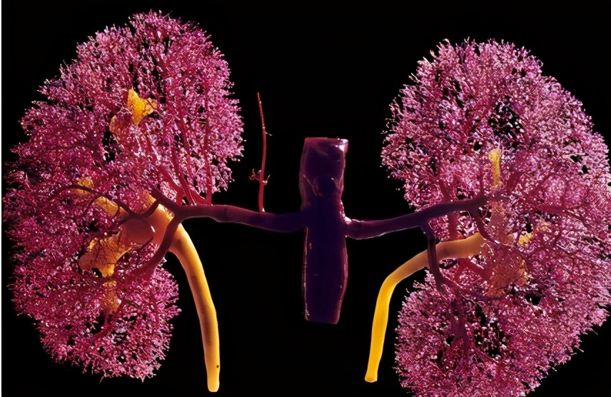 肾病|你100%不知道:肾病患者的血压,降到多少最好?