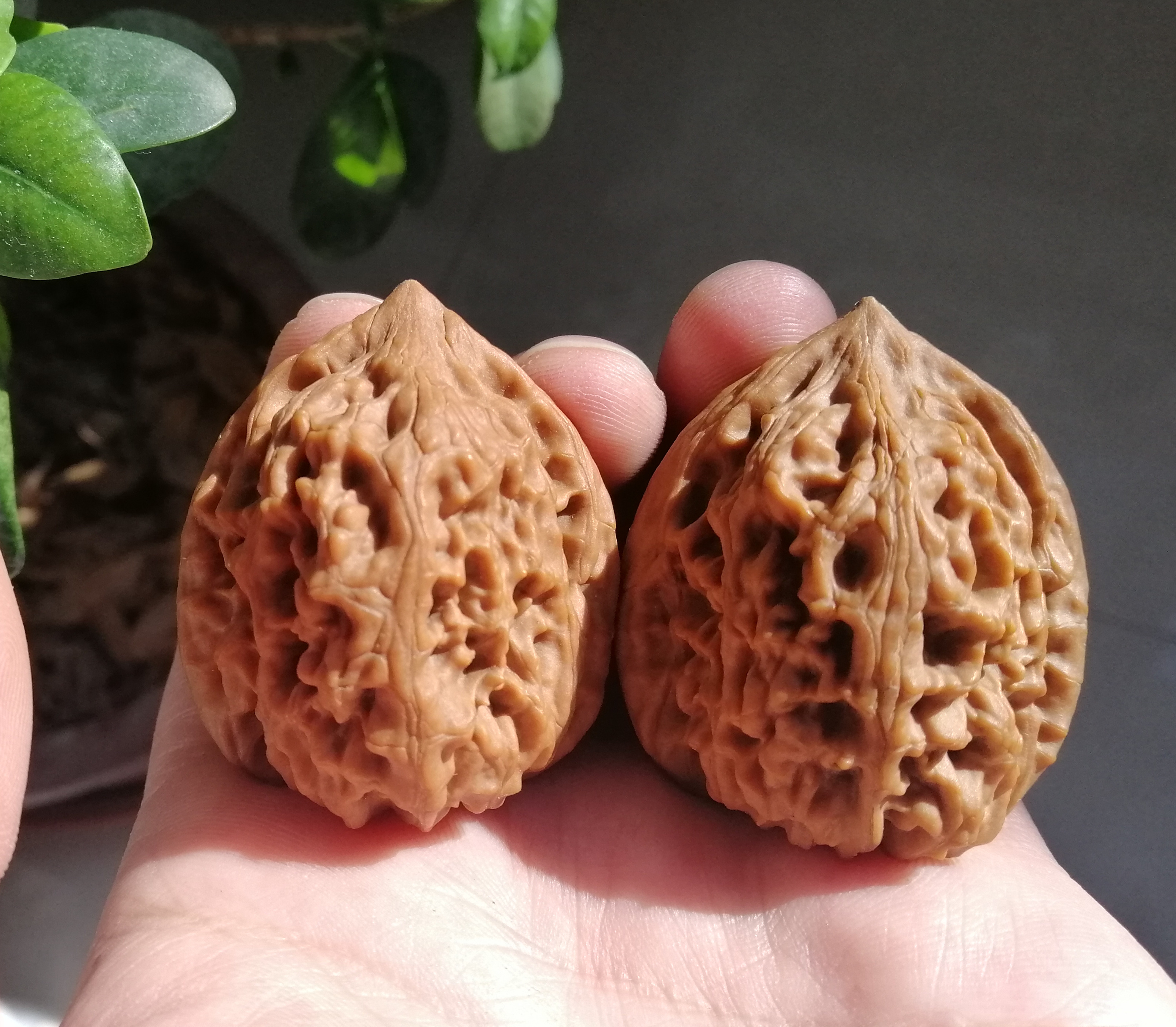 文玩@文玩新手入坑指南