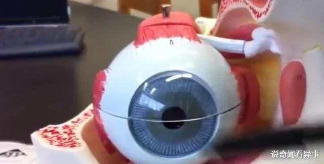 『南极』用望远镜看太阳会发生什么，有人用猪的眼睛做实验，结果难以置信